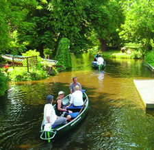 Fluistervaren in Waterland