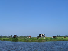 Arrangement De stilte van het water LIBELLE